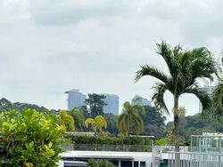 Belle Vue Residences (D9), Condominium #560593691